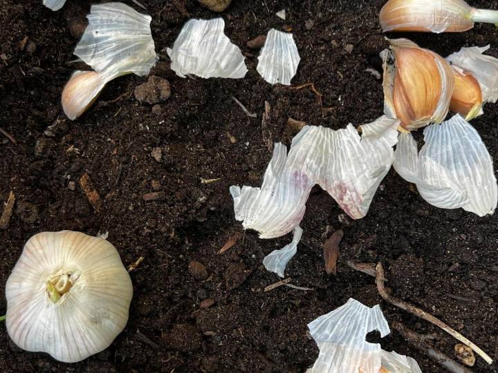 Doing these fall garden chores will make your spring easier