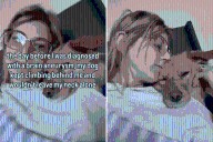 Woman Notices Dog Acting Strange, Next Day She Gets Life