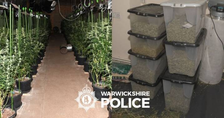 Inside huge £230k cannabis farm police found at a Warwickshire industrial unit