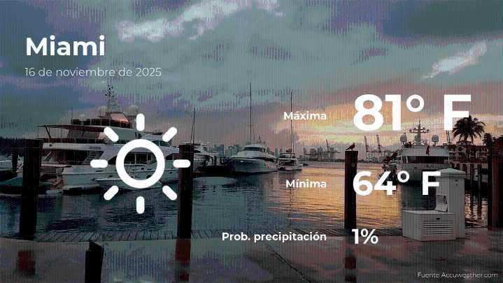 Miami: el tiempo para hoy domingo 16 de noviembre