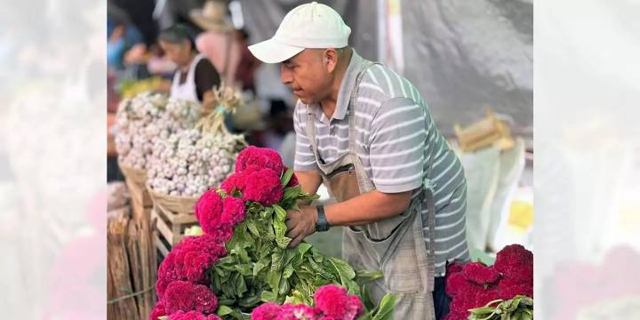 Plaza de muertos llena de color y tradición a la Mixteca