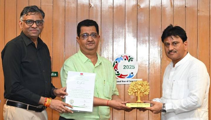 Plantation: Sumul Dairy bags 2nd Rank among GCMMF Unions