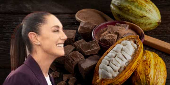 Chocolate Bienestar: Sheinbaum anuncia construcción de Planta procesadora en Tabasco promete mayor ingreso a productores
