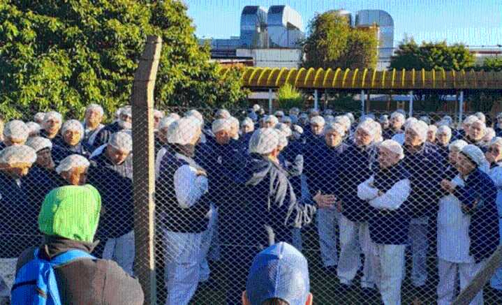 Suspensiones masivas en Georgalos por el derrumbe de ventas