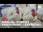 🔴LIVE: President Trump pardons Gobble and Waddle at annual Thanksgiving ceremony