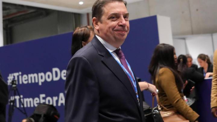 El Gobierno pide prudencia ante la gripe porcina y asegura que trabaja para limitar su impacto económico