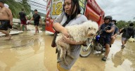 Typhoon leaves at least one dead in Philippines
