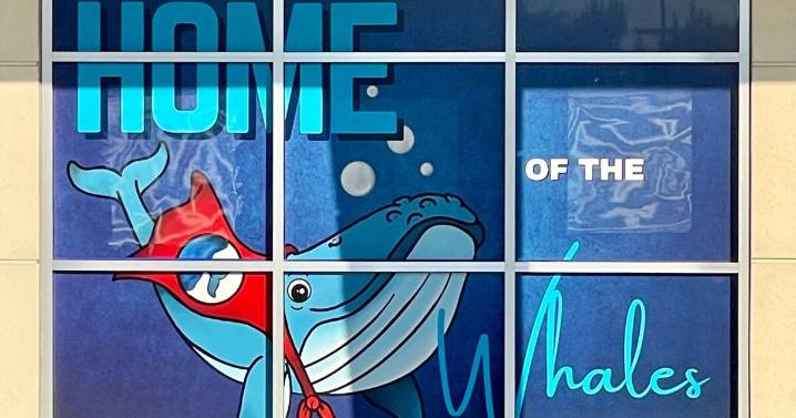 Remembering Humphrey the Humpback, 40 years later