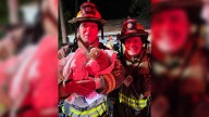 Cat dies, another rescued in Seminole County house fire