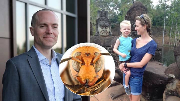 Un turista y su hijo murieron tras ser atacados por un enjambre de avispas asesinas en el sudeste asiático