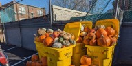 The Jack-O-Lantern’s Ghost: Pumpkins in St. Louis can have a second life after Halloween