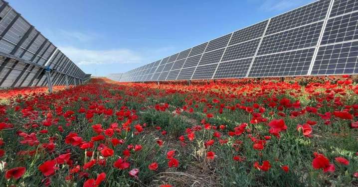 Bank of America ve potencial de revalorización en Solaria por el negocio de los centros de datos