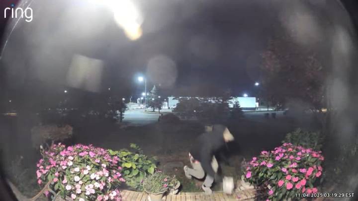 Berlin Township, NJ porch pirate appears to use a shopping cart