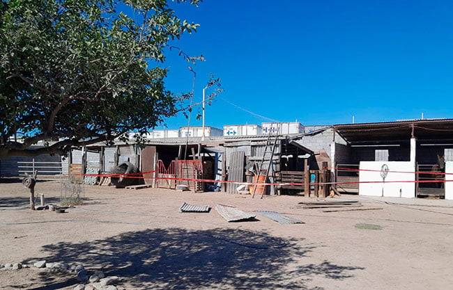 Cae de techo en caballerizas y muere en Nava