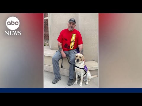 Tommy the service dog saves veteran's life
