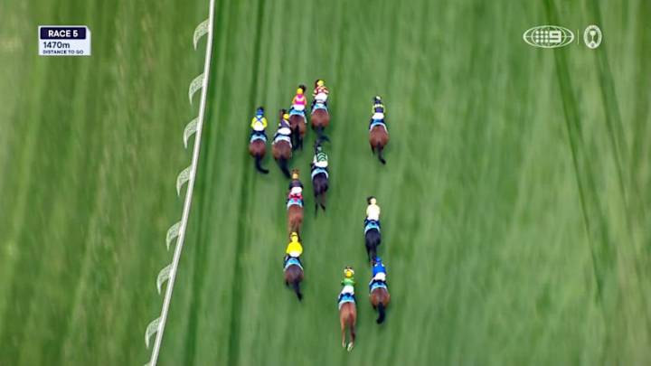Crown Oaks Day: Race 5 - Channel 9 Chester Manifold Stakes