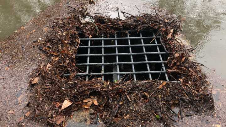 A stormwater engineer says you can do these things to…