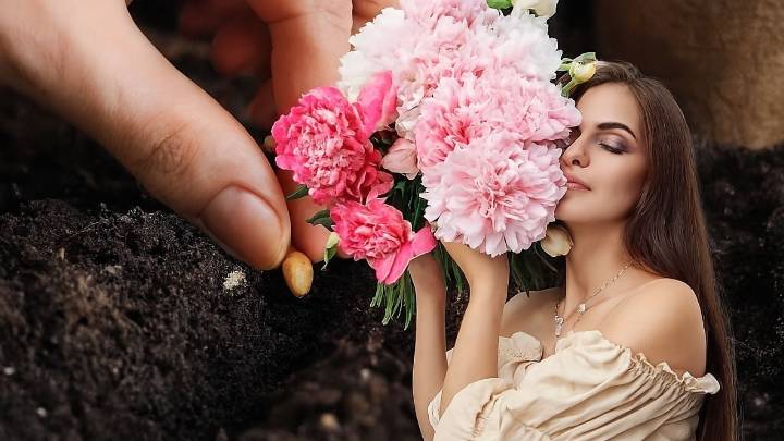 Estas son las plantas que podrías sembrar en noviembre para tener un jardín lleno de color en verano