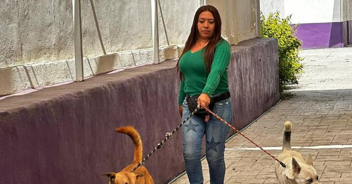 ¡Explota la demanda! Aumentan 47% las atenciones a “lomitos” y “michis” en Centro Canino de Cuauhtémoc