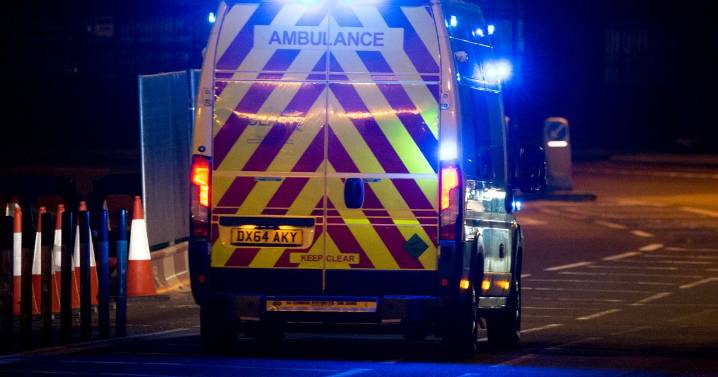McDonalds swarmed by '10 police cars and two ambulances' as customers turned away