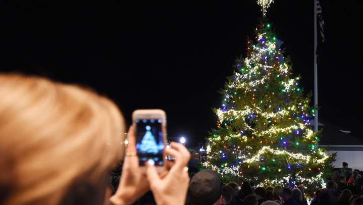 UD decision moves Newark's annual holiday tree display to City Hall