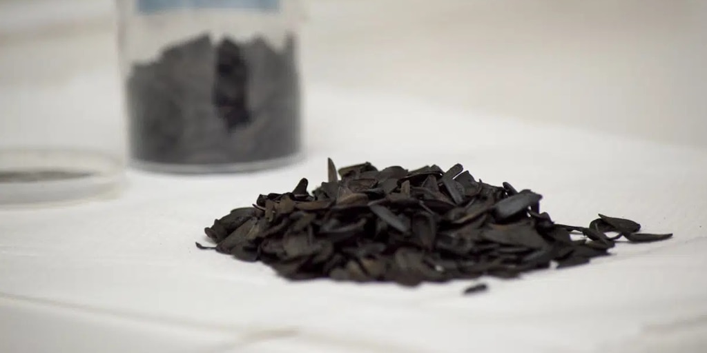 Científicos del CONICET crean un método low cost para eliminar arsénico y nitratos del agua