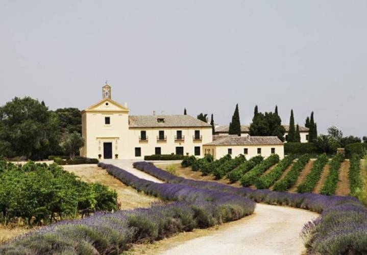 El pequeño pueblo de Toledo que conquistó a la familia Falcó hace 700 años