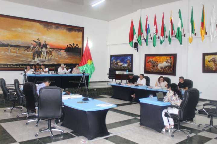 En segundo debate la Asamblea de Casanare aprobó el nuevo estatuto orgánico de presupuesto para el departamento