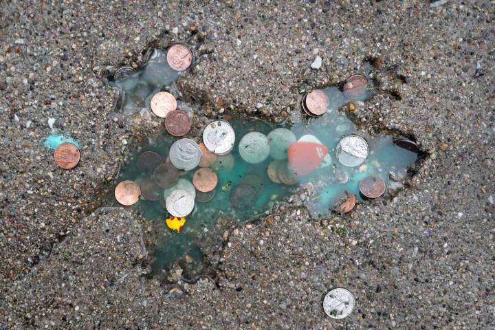 Nutty New Twist in Origin of Viral ‘Rat Hole,’ Researchers Say