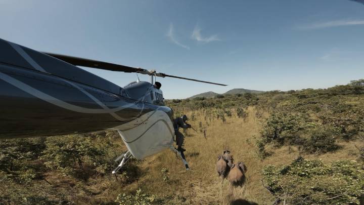 Nuevas formas de proteger a los elefantes africanos: linternas de alta potencia y abejas para evitar conflictos con los humanos