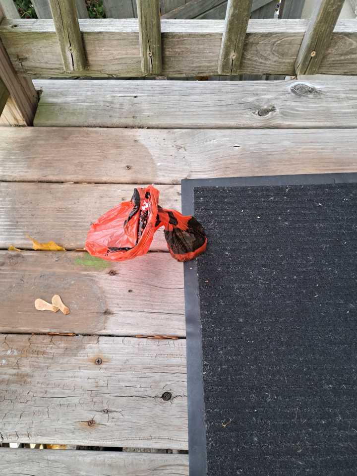 Kiel "Poop Fairy" allegedly exposed as alderperson's husband, latest in a string of incidents