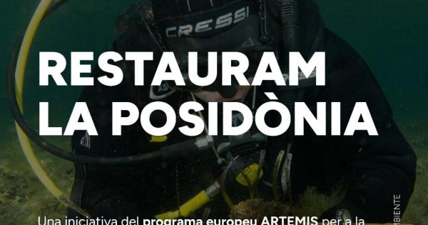 Presentación del proyecto 'Restauram la posidònia' en Ciutadella