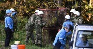 Japan deploys troops in bid to stem surge in deadly bear attacks