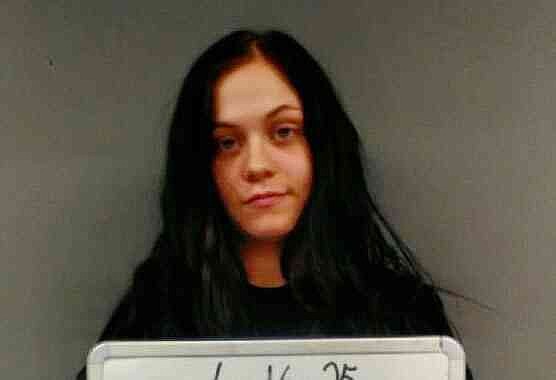 Plea allots two concurrent 15-year prison terms for Williams in Fort Smith drive