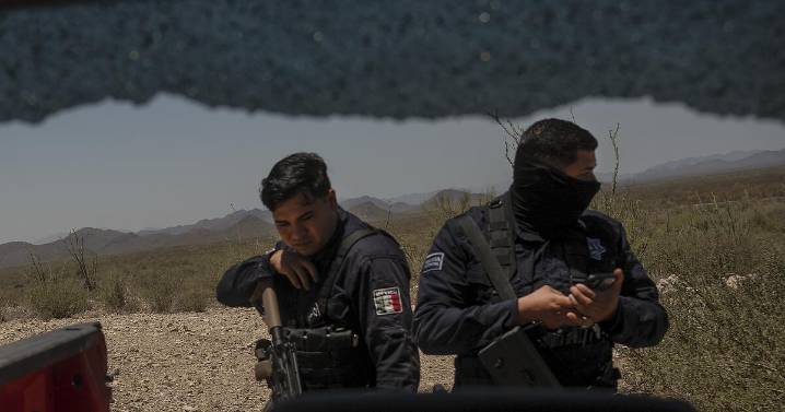 Gold, guns and cartels: The battle for a billion