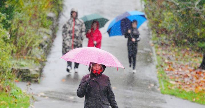 Met Office issues yellow rain warning for south England, Wales at start of new week