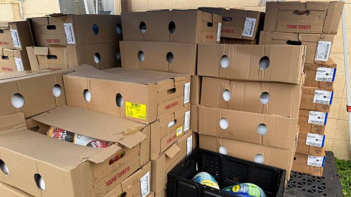 Thousands of turkeys distributed to families in need