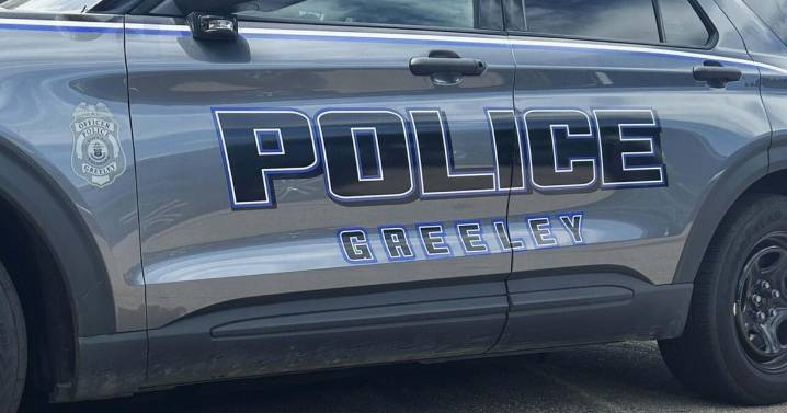 Woman dies in Colorado five days after being struck by underaged alleged drunk driver at over 100 mph, police say