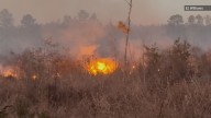 Jasper County deputies writing citations for burn ban violations after 56