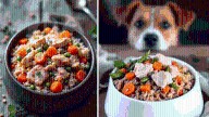 Simple dog recipes packed with protein that skip chicken and eggs