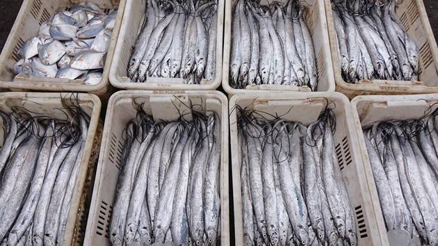 China to suspend imports of Japanese seafood in latest escalation over Taiwan comments