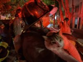 Cat rescued, residents to be displaced following fire in San Francisco
