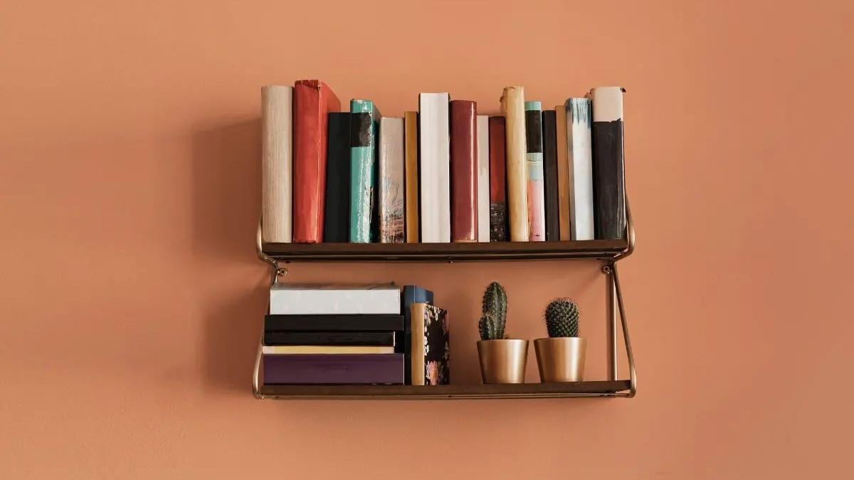 Word of the Day November 18: 'Intrepid'