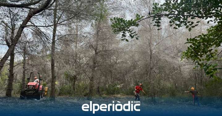 El Ayuntamiento de Teulada inicia nuevas actuaciones de prevención de incendios forestales en la zona Interfaz Urbano