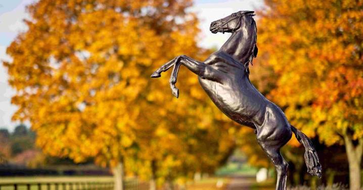 Tourism in Newmarket rises with £84million economy