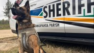 Tangipahoa Parish K-9 gets brand new body armor vest
