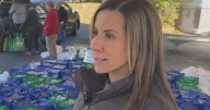Shrewsbury woman leads Thanksgiving turkey drive for almost 300 families