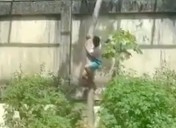 Un hombre muere atacado por un león en un zoo de Brasil tras colarse en su jaula