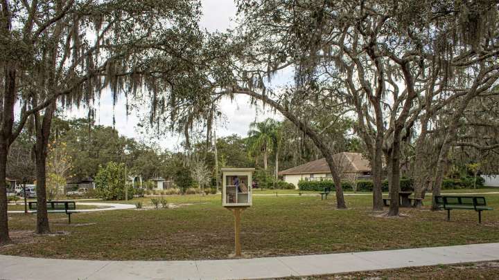 Temple Terrace just tallied every tree on city property. Here’s what it found