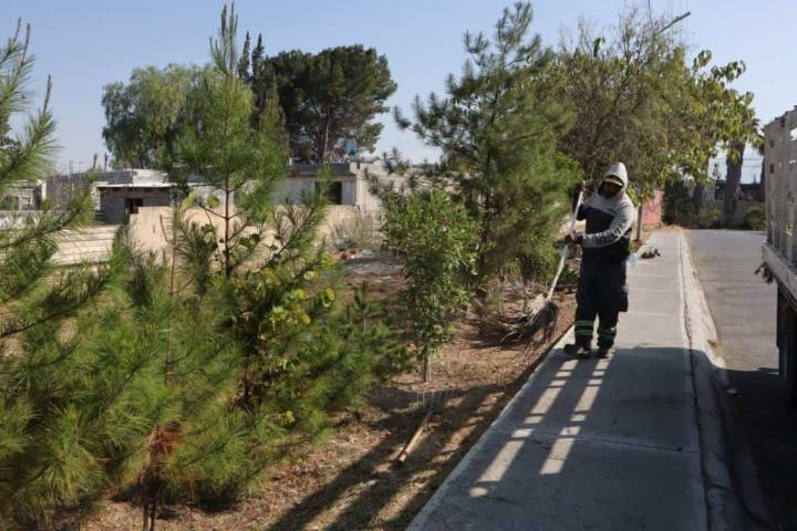 Gobierno de Saltillo intensifica limpieza de pasos peatonales